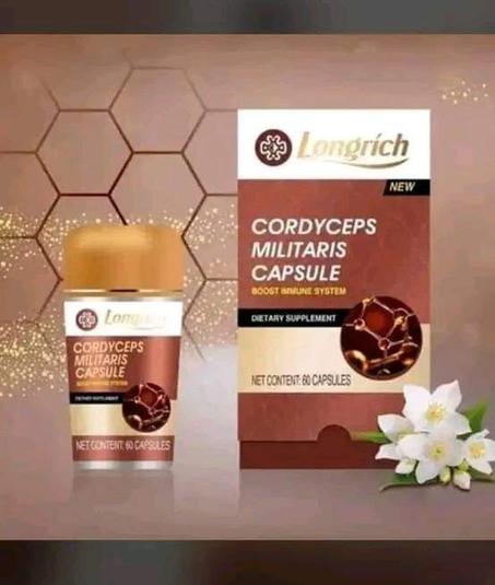 CORDICEPTS MILITARIS CAPSULES DE LONGRICH