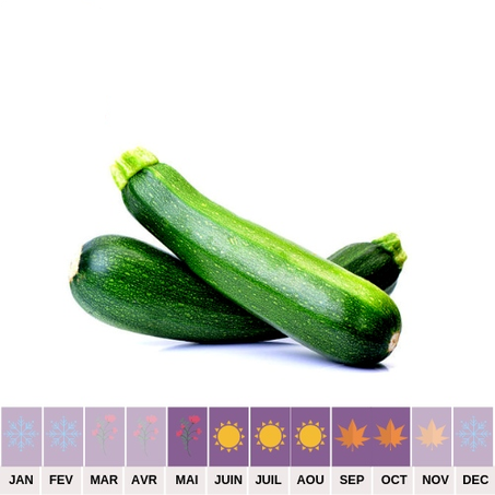 Courgette