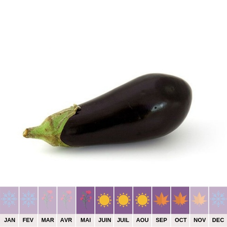 Aubergine