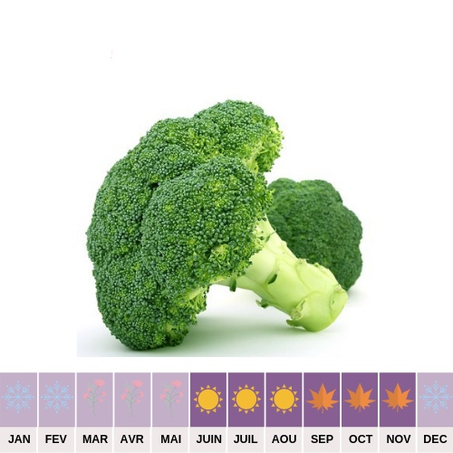 Brocoli