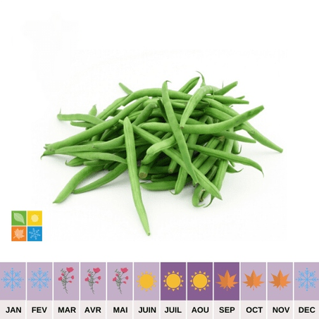 Haricots Verts