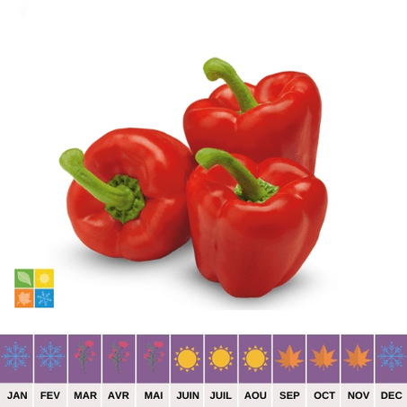 Poivron Rouge
