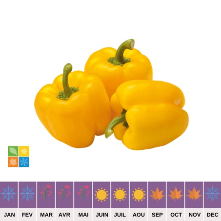 Poivron Jaune