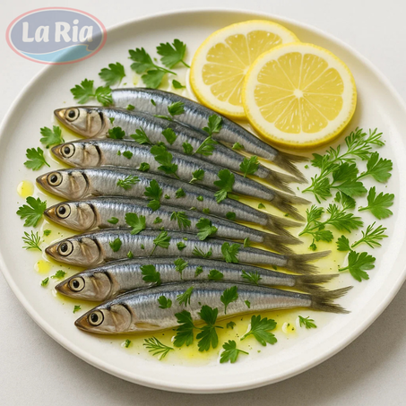 BARQUETTE ANCHOIS 1 Kg (Espèce : Engraulis encrasicolus )