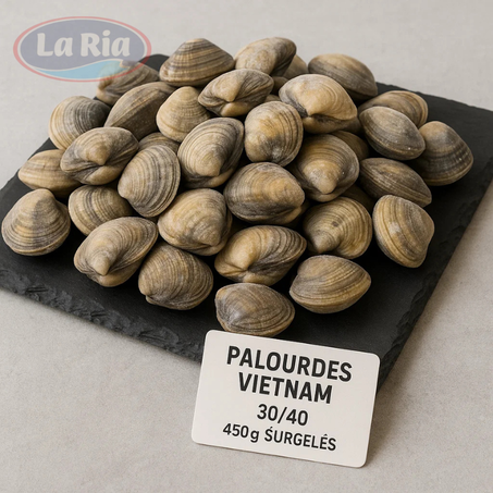 Palourdes Vietnam 30/40 450g (promotion)