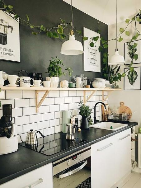 المنزل والمطبخ