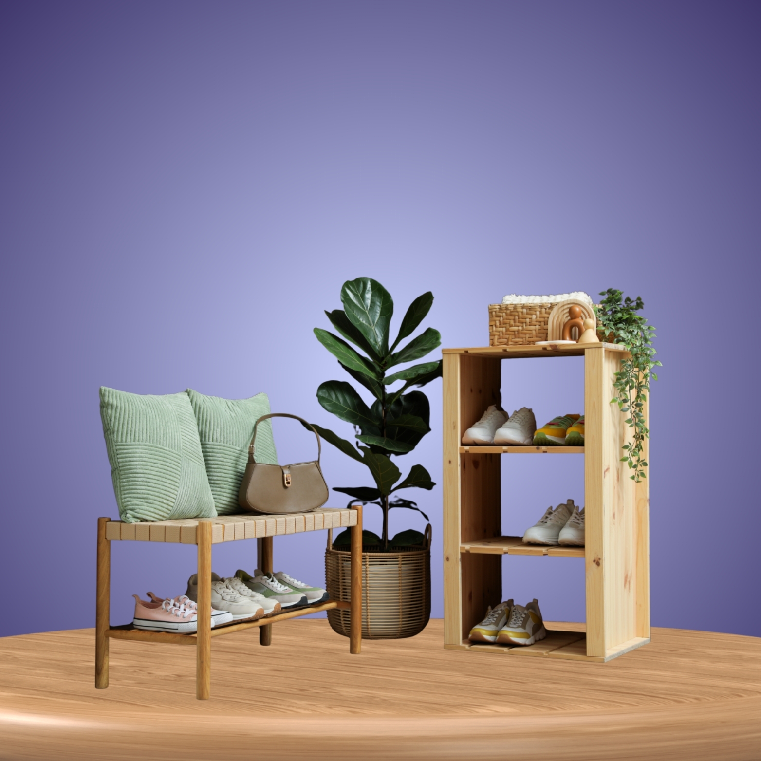 ترتيب وتنظيم﻿