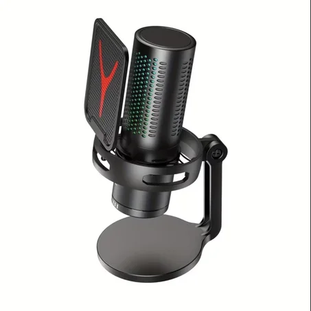 Professional C Type  USB Microphone