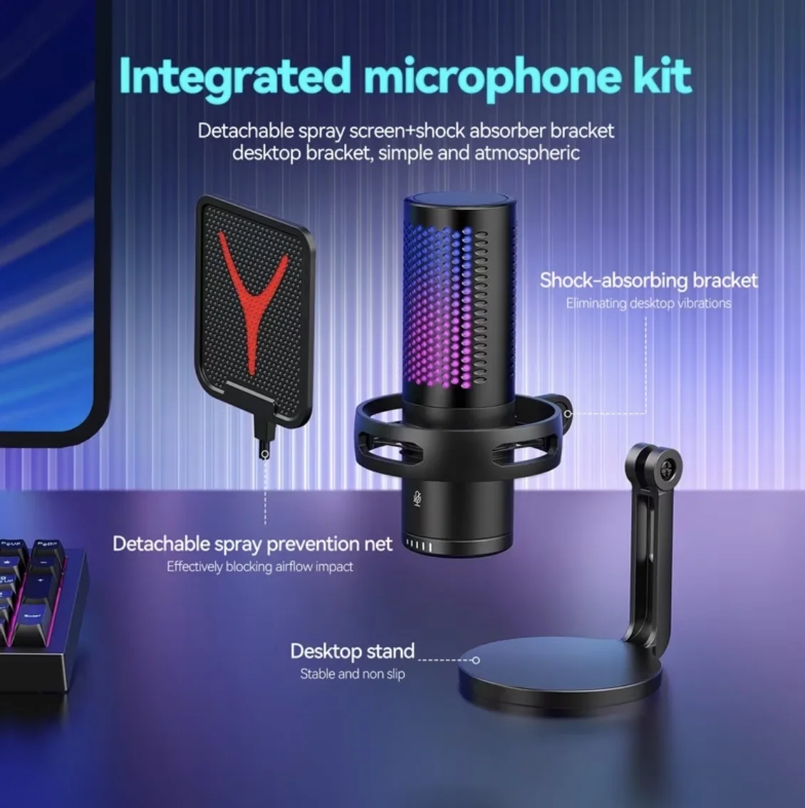 Professional C Type  USB Microphone