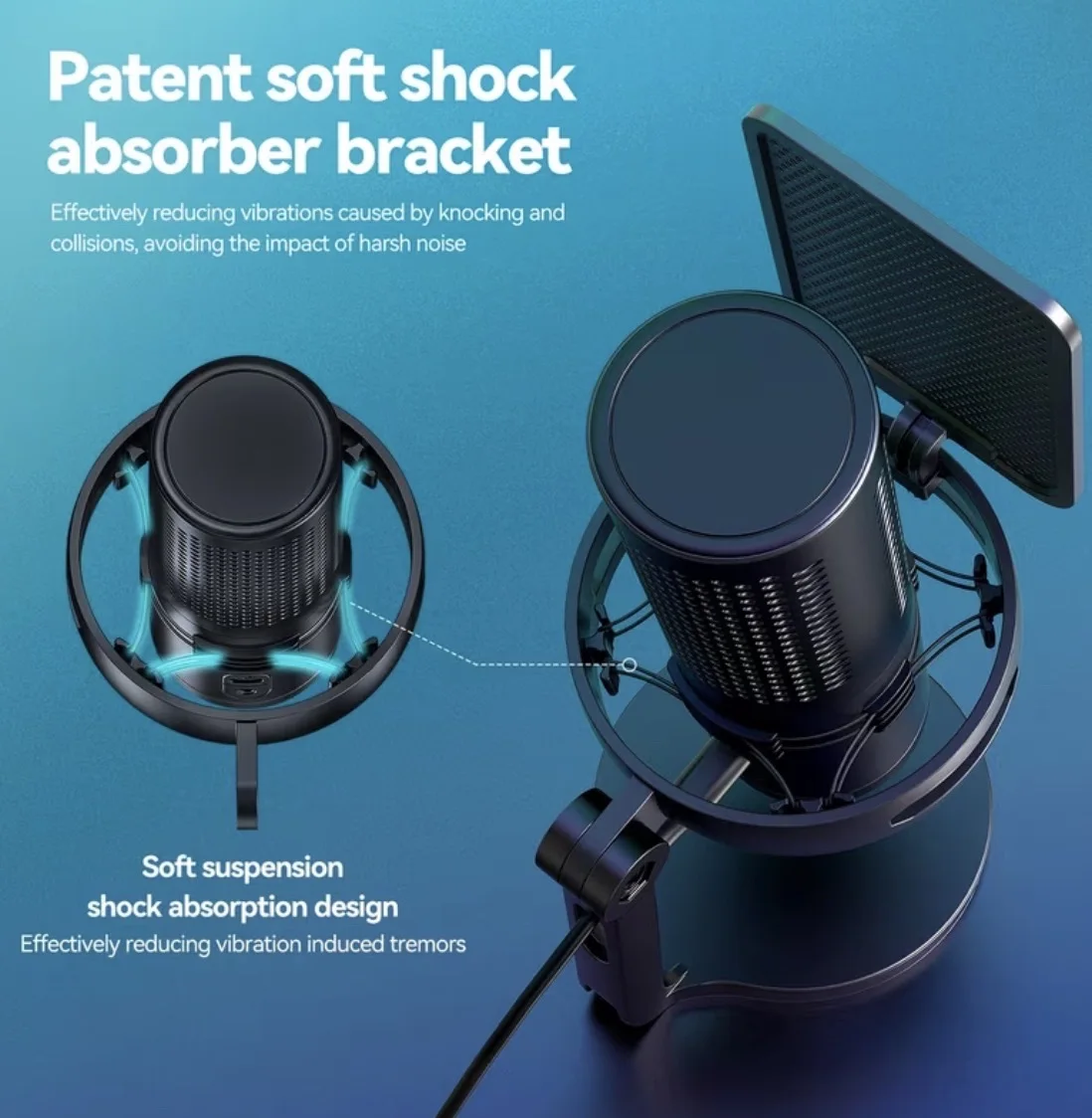 Professional C Type  USB Microphone