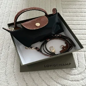 Mini Longchamp