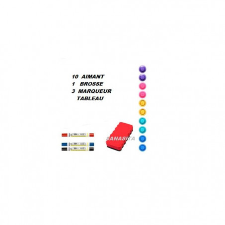 LTS FAFA 12pcs 12 x 16mm Mini Aimants pour Tableau Magnétique Tableau  d'Affichage Tableau d