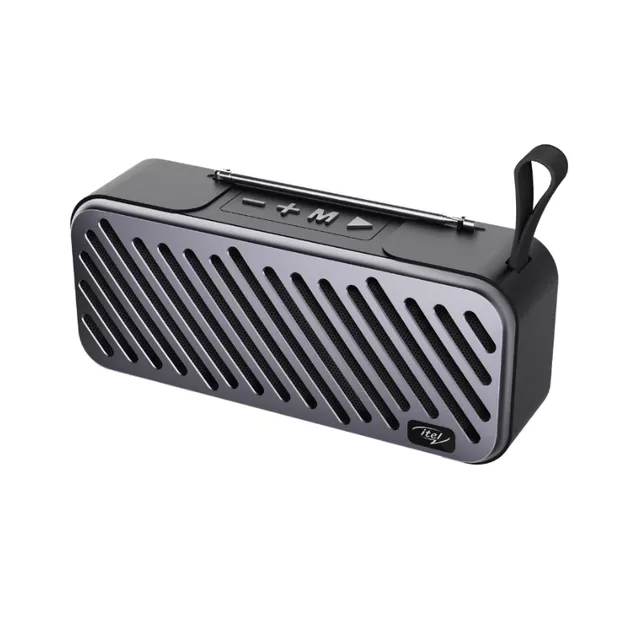 SPEAKER S31 with Radio & Wirless Connection