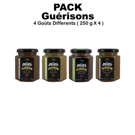 Pack Guérisons 4 Goûts Differents de Miel (250g X 4)