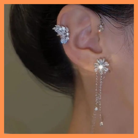 Boucle d'oreille élégante