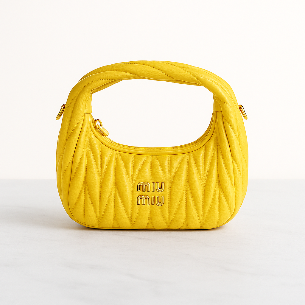 Miu Miu Wander Mini Hobo