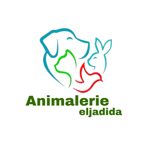 Animalerie el jadida