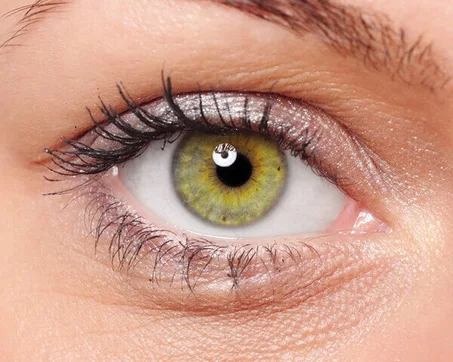 lentilles de contact couleur