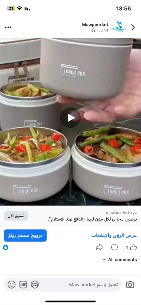 صندوق غداء حراري مع حقيبة محمولة