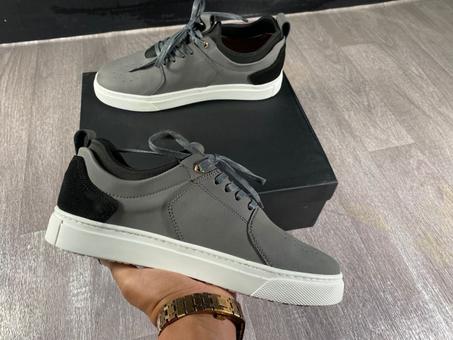 Nubuck Timberland Gris