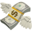 💸