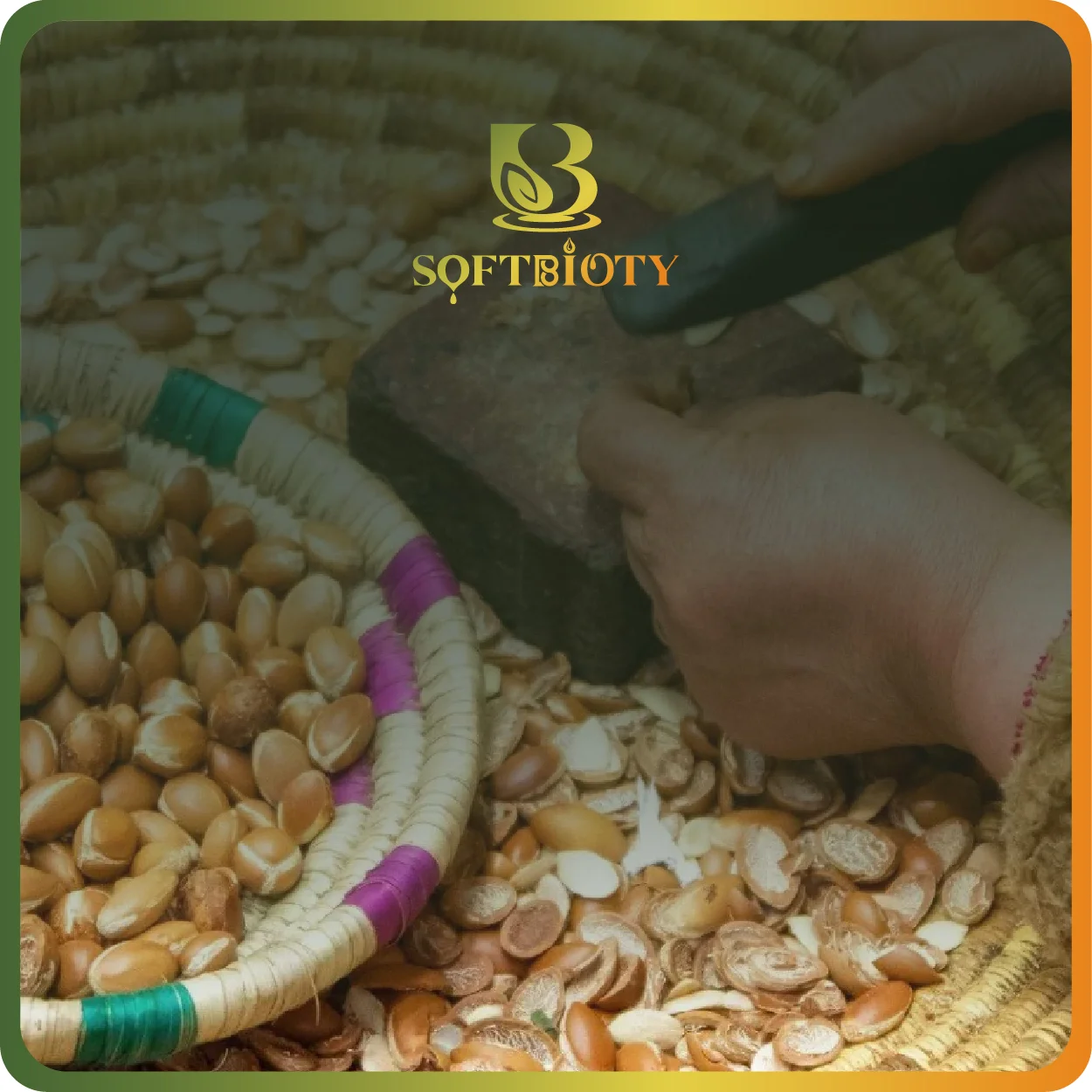 المجموعــــــات Les Packs