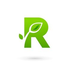 Root