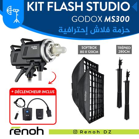 Kit Flash Studio GODOX MS300 Avec Déclencheur Inclus 'NEW'