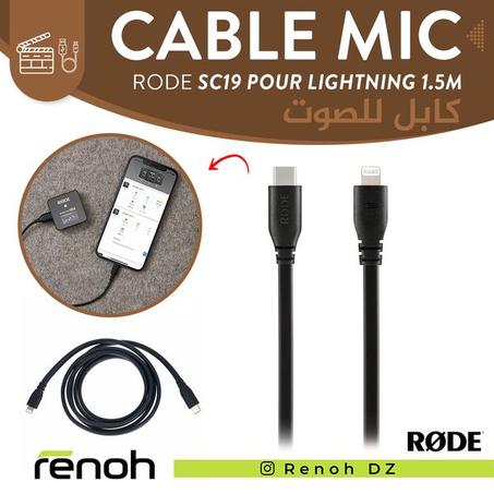 Cable Microphone RODE SC19 Pour Lightning (1.5m)