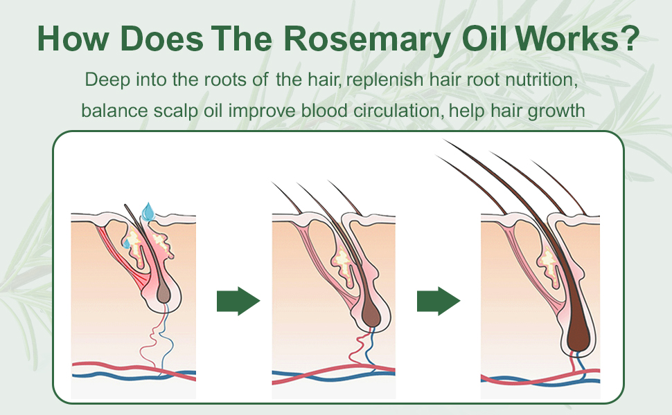 زيت الروزماري الأساسي للعناية بالشعر والبشرة  من Eco Finest 【زيت عطري نقي وطبيعي بنسبة 100%】