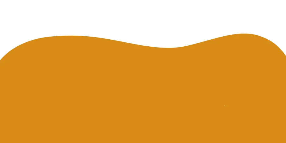 slider-image