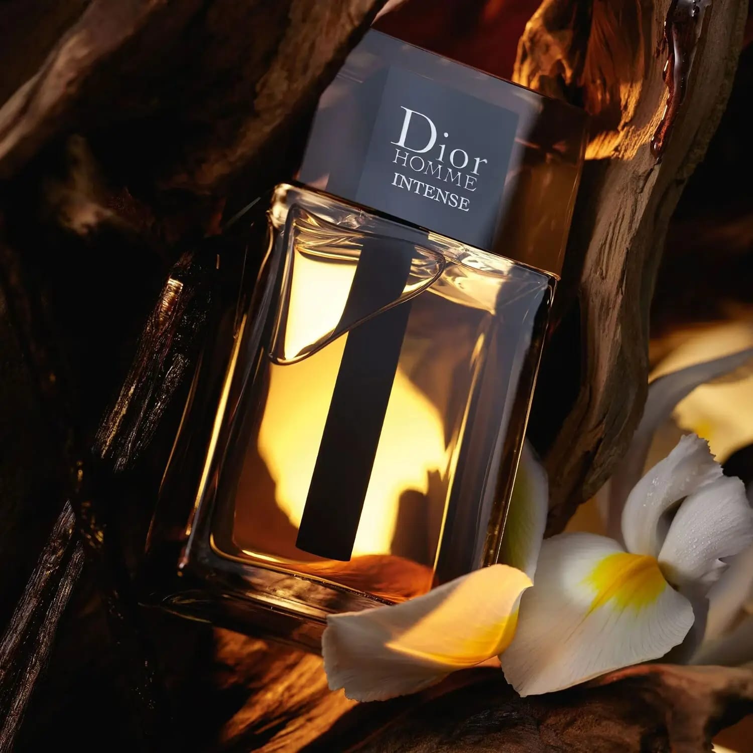 DIOR HOMME INTERSE