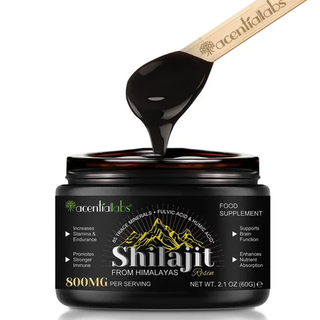 SHILAJIT PUR DE L’HIMALAYA – RÉSINE AUTHENTIQUE GOLD GRADE (60G)