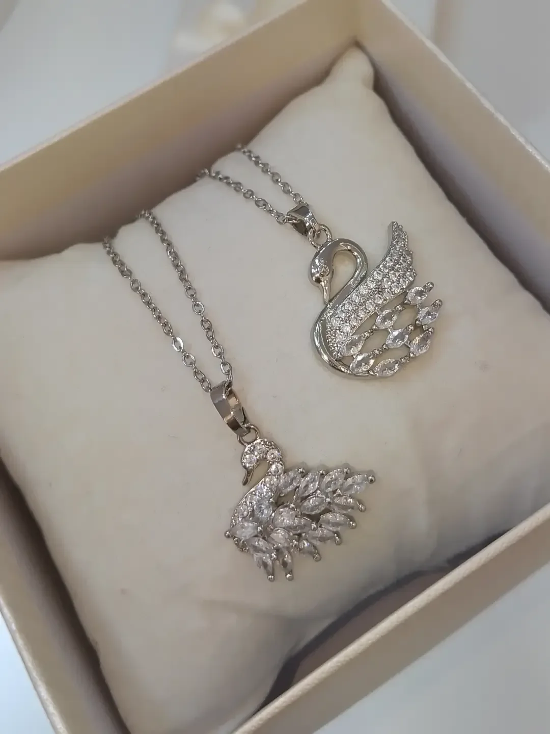 Silver swan 🦢🤍