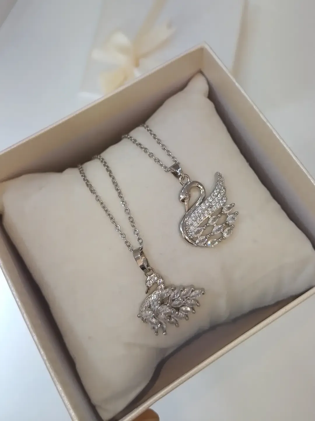 Silver swan 🦢🤍