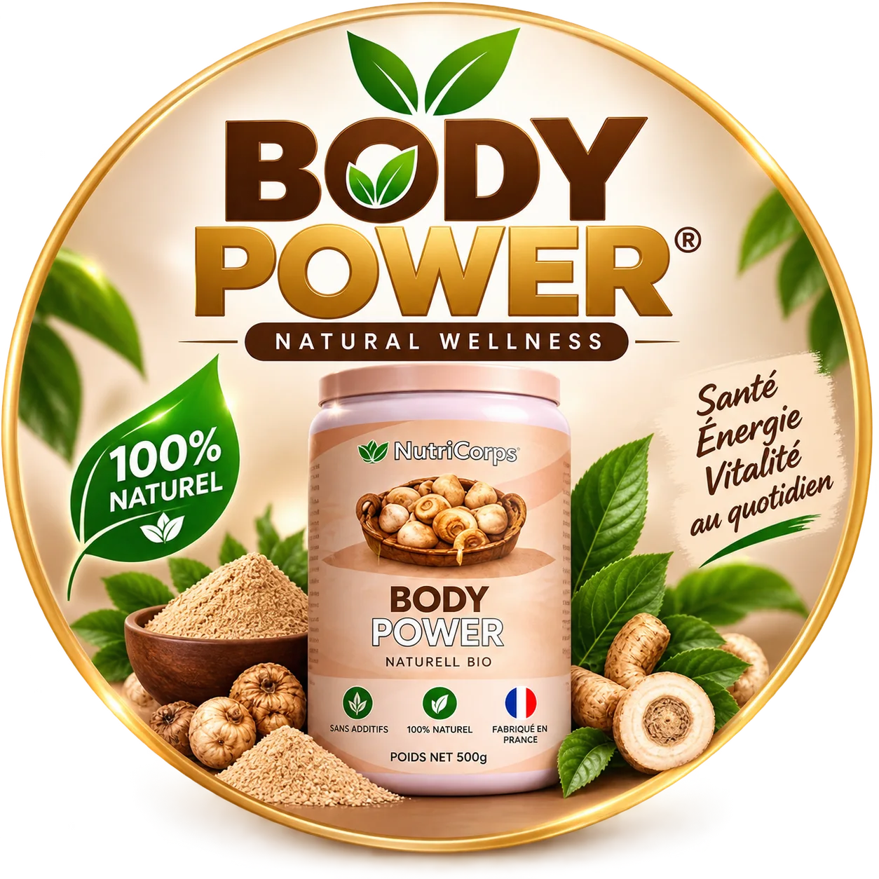 BODYPAWER