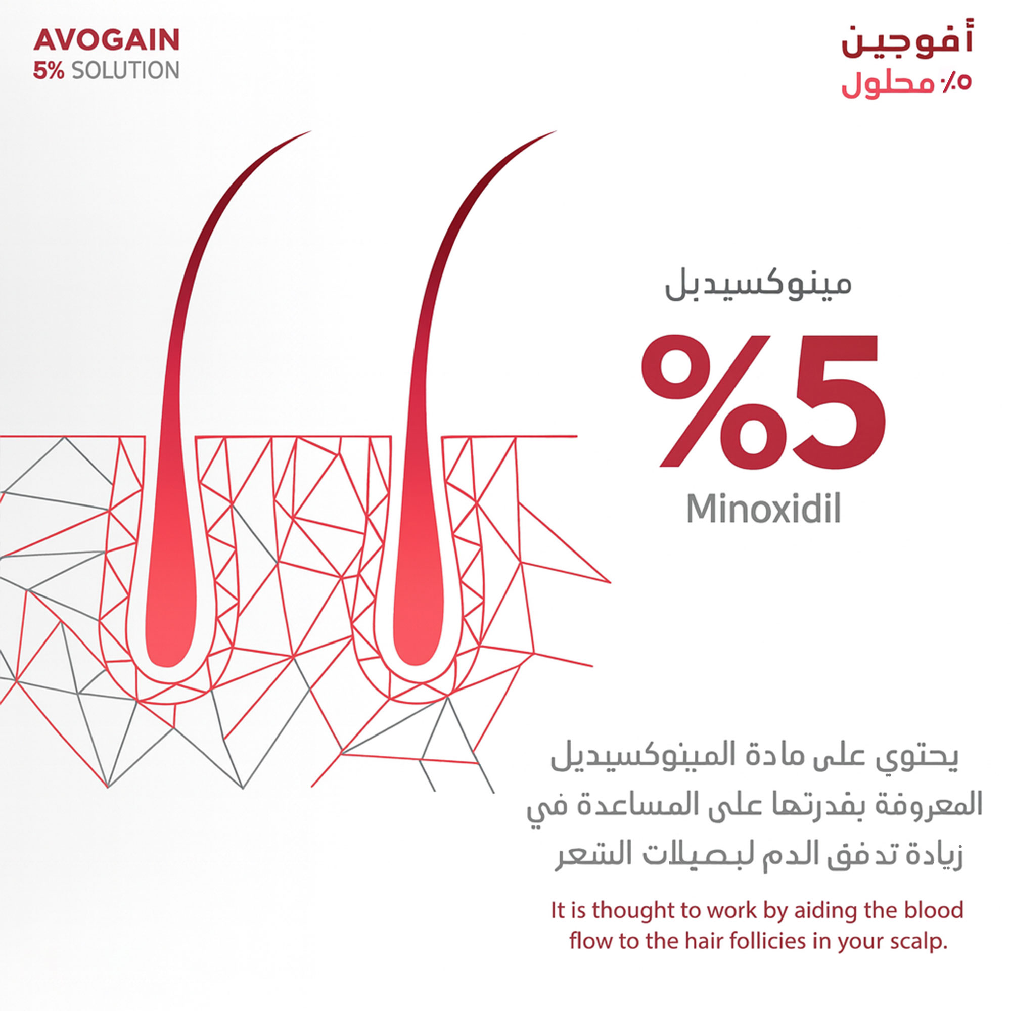 Avogain لنمو الشعر