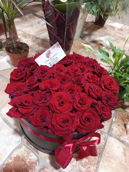 Box 41 rose rouge