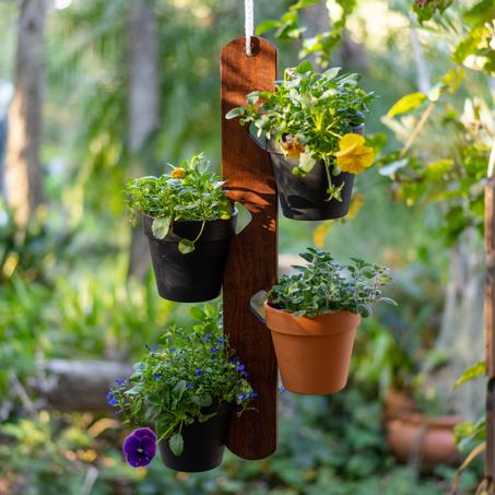 🪴 منظم النباتات العملي المعلق