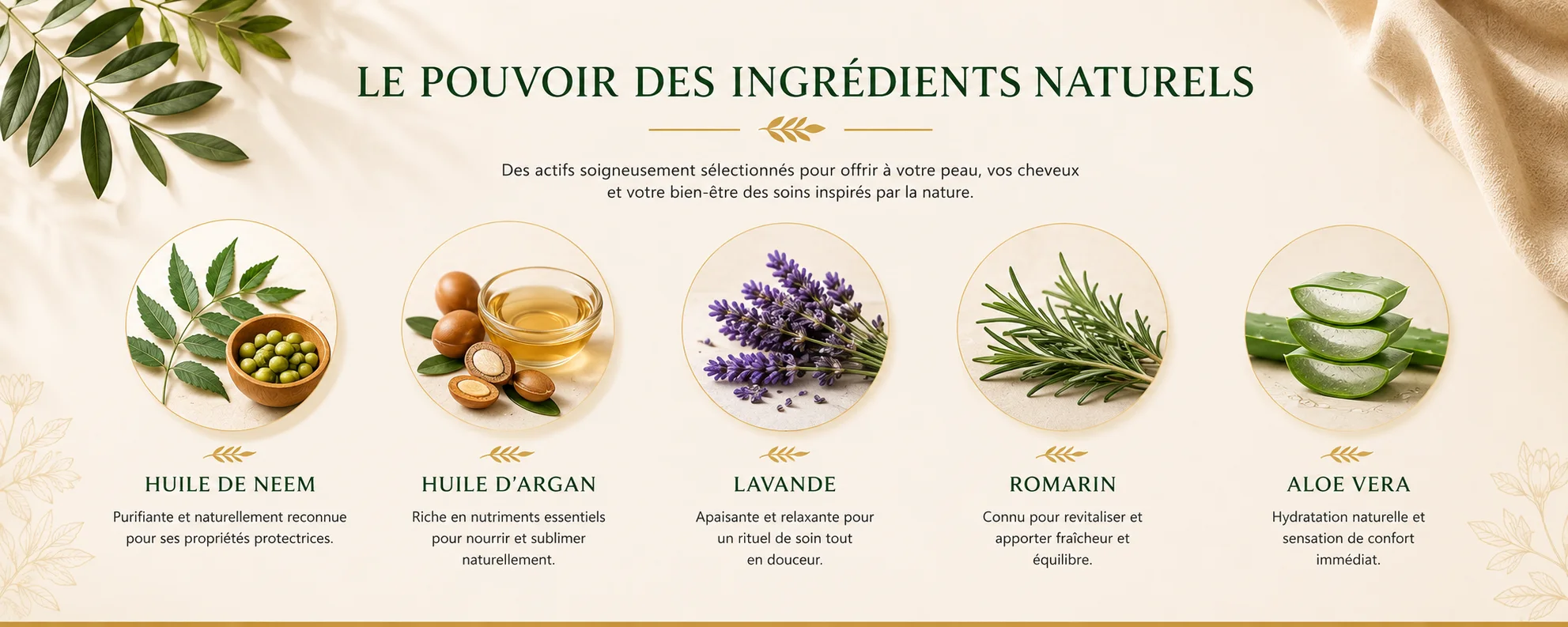 Le pouvoir des ingrédients naturels Norvya