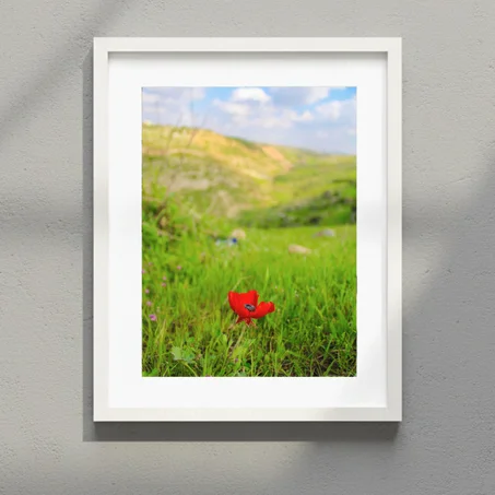 لوحة شقائق النعمان (40x50 cm)