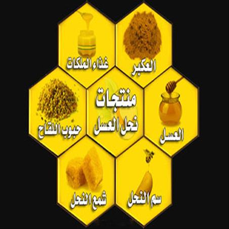 منتجات الخلية