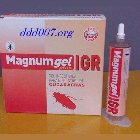 الجل الأوربي القاتل للصراصير