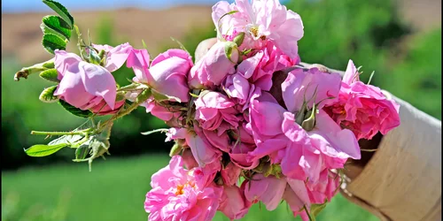 slider-image