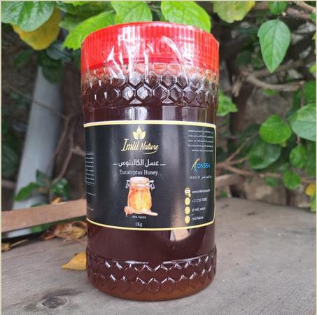 عسل الكالبتوس Eucalyptus Honey