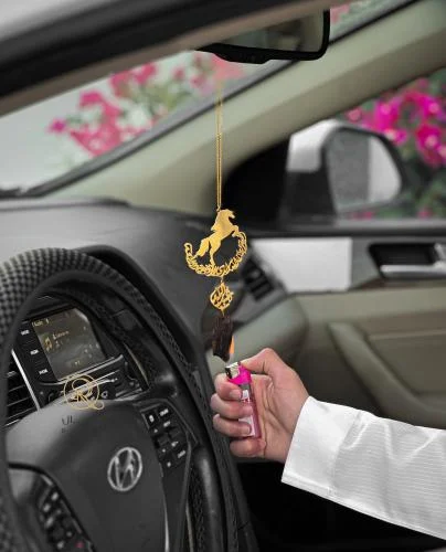 اكسسوارات السيارات