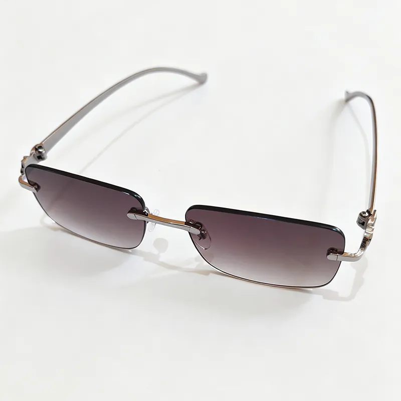 Jaguar Simple Rimless Heritage Brown/Gris colour & Photochromic UV 400