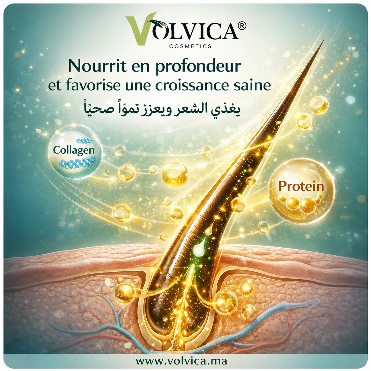 Pack Volvica Macca Organic Hair Care 3 IN 1