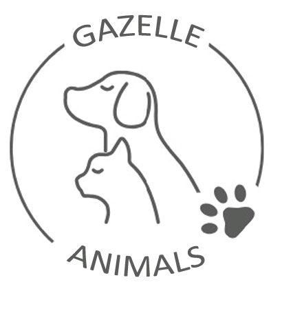 GAZELLEANIMALS