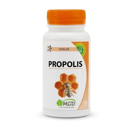 PROPOLIS PILULIER 120 GÉLULES MGD